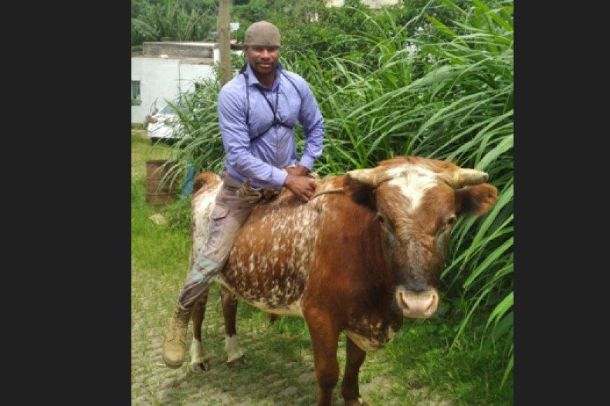 Uma Brava além das promessas eleitorais: o retrato de um país a nove velocidades & Sector da criação de animais