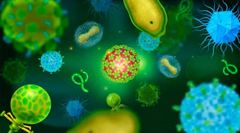 Investigadores alertam para falta de financiamento na área da biotecnologia