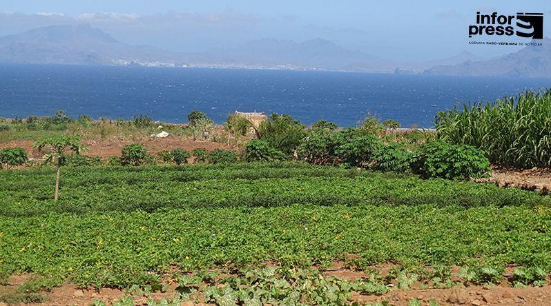 Porto Novo: Mais de 450 famílias com parcelas agrícolas doadas pelo Estado em todo o município – Governo