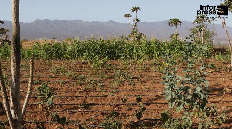 Porto Novo: Agricultores do perímetro agrícola de Chã de Galinheira enfrentam penúria de água para rega