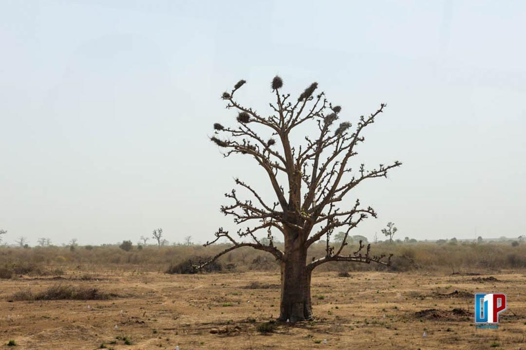 Fome Atinge 7,8% da População Mundial em África