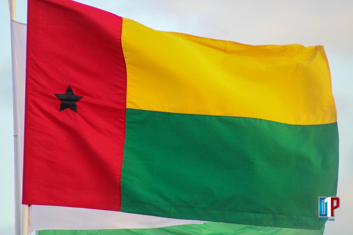 Guiné-Bissau. “Sim” vence referendo sobre entrada em vigor da nova Constituição diz CNE