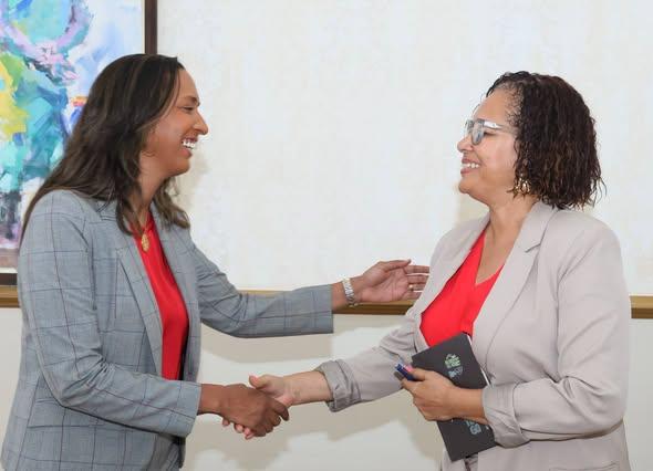 Cabo Verde: Fundação Smart City apresenta projeto de inovação urbana à Presidência
