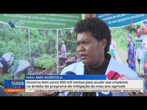 Governo disponibiliza cerca de 200 mil contos para apoiar criadores face ao mau ano agrícola