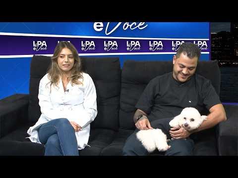 LPA e Você Entrevista Luan Costa e Carolina Dariano na Episódio 16