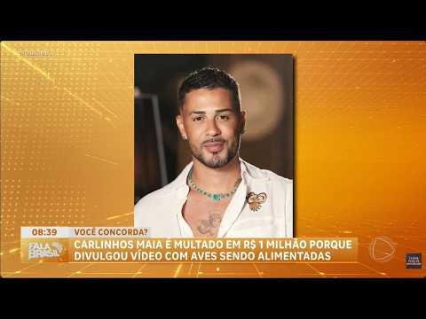 Carlinhos Maia é multado em R$ 1 milhão por alimentar aves silvestres em Fernando de Noronha