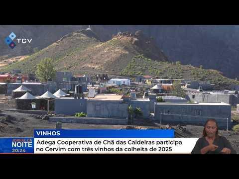 Adega Cooperativa de Chã das Caldeiras participa no Cervim com três vinhos da colheita de 2025