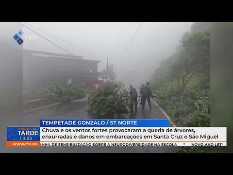 Chuva e ventos fortes causam quedas de árvores, enxurradas e danos em Santa Cruz e São Miguel