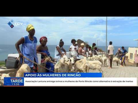 Associação Lantuna entrega ovinos a mulheres de Porto Rincão como alternativa à extração de inertes