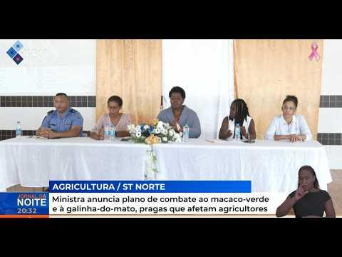 Ministra anuncia plano de combate ao macaco-verde e à galinha-do-mato pragas que afetam agricultores