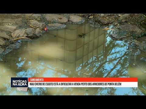 Mau cheiro e condições precárias estão a dificultar a venda perto dos arredores de Ponta Belém.