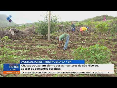 Chuvas trouxeram alento aos agricultores de São Nicolau, apesar da perda de sementes