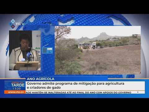 Governo admite programa de mitigação para agricultura e criadores de gado