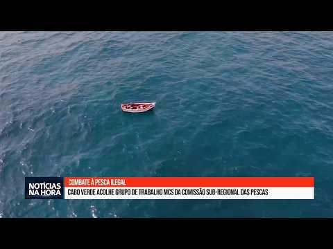 Combate à pesca ilegal: Cabo Verde acolhe Grupo de Trabalho MCS da Comissão Sub-Regional das Pescas.