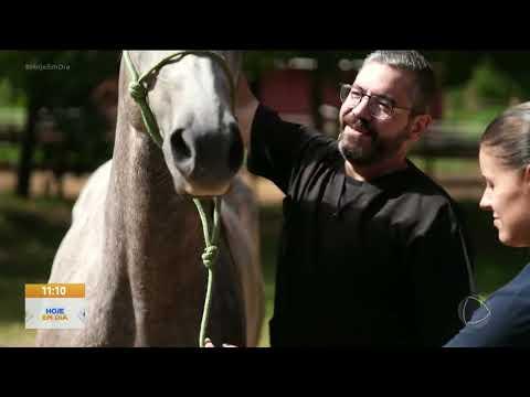 Acupuntura na Veterinária: Técnica Chinesa Ajuda na Reabilitação de Animais