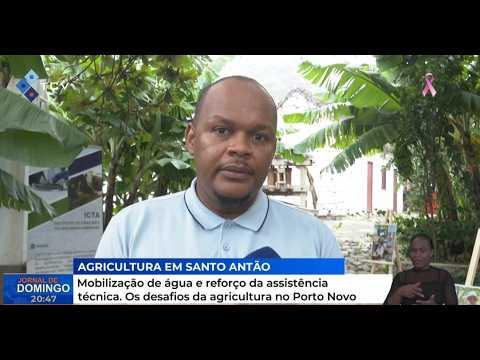 Mobilização de água e reforço da assistência técnica. Os desafios da agricultura no Porto Novo