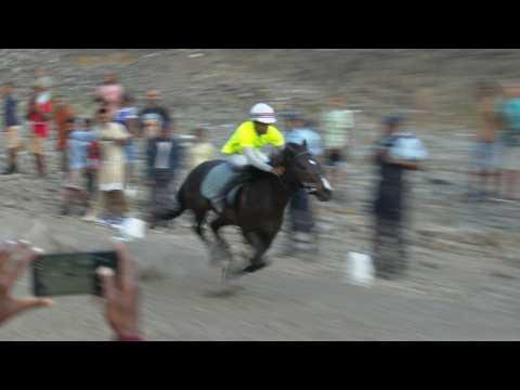 Xerife Vence Corrida de Cavalos em Ribeira Grande