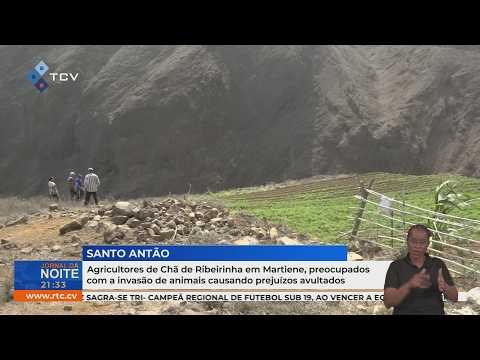 Invasão de animais preocupa agricultores de Chã de Ribeirinha
