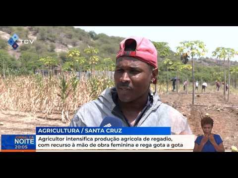 Agricultor intensifica produção agrícola de regadio, com recurso à mão de obra feminina