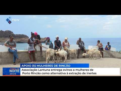 Associação Lantuna entrega ovinos a mulheres de Porto Rincão como alternativa à extração de inertes