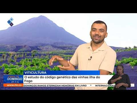 O estudo do código genético das vinhas ilha do Fogo