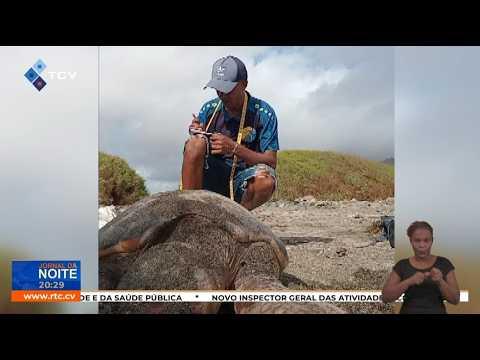 Assoc Ponta de Pom denuncia abate e apanha de tartarugas na praia do Lazareto e pede ação da Polícia