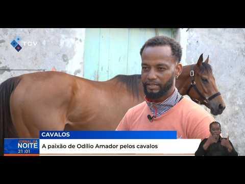 A paixão de Odílio Amador pelos cavalos