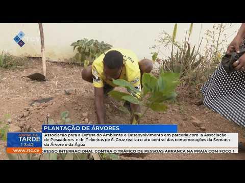 Associações celebram Semana da Árvore e da Água em Santa Cruz