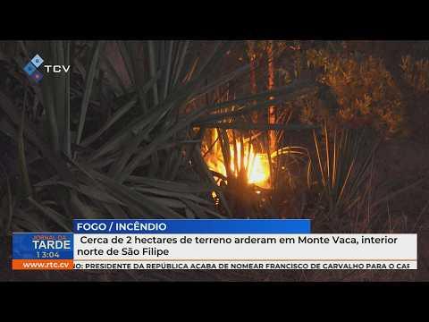 Cerca de 2 hectares de terreno arderam em Monte Vaca, interior norte de São Filipe