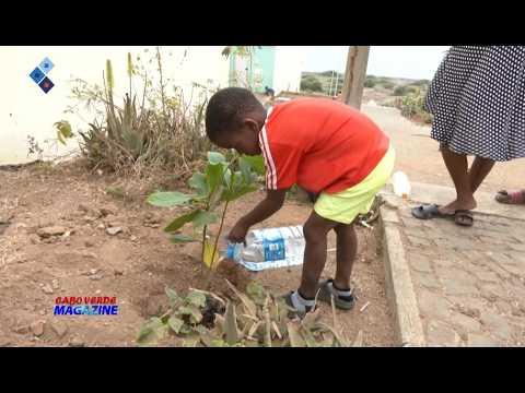 Cabo Verde Magazine com a jornalista Leylla Reis - 24 Março de 2026