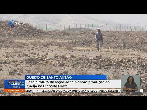 Seca e rotura de ração condicionam produção do queijo no Planalto Norte