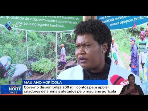 Governo disponibiliza 200 mil contos para apoiar criadores de animais afetados pelo mau ano agrícola