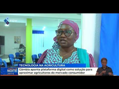 Gâmbia aponta plataforma digital como solução para aproximar agricultores do mercado consumidor