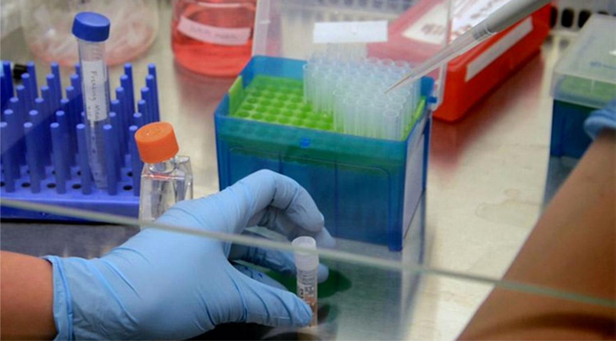 Técnicos de Diagnóstico e Terapêutica e Auxiliares de Saúde demarcam-se da greve dos profissionais de saúde