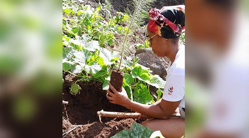 Praia Verde Espera Financiamento para Dessalinização e Espaços Verdes
