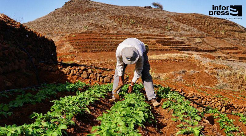 Agricultores de Morro Cavalo Aguardam Concessão do Novo Governo