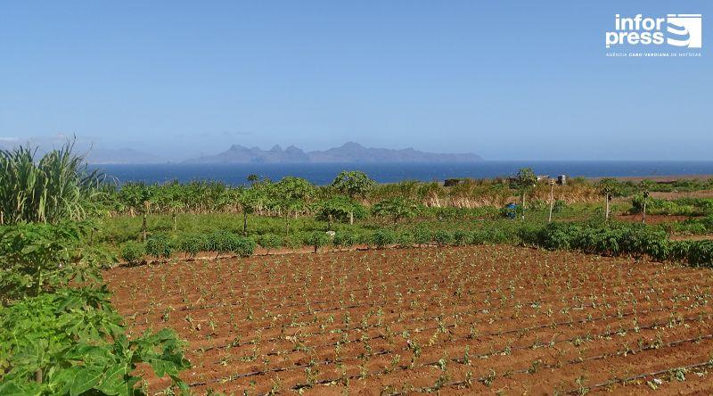 Porto Novo: Escassez de água e proliferação de pragas entre as principais preocupações dos agricultores