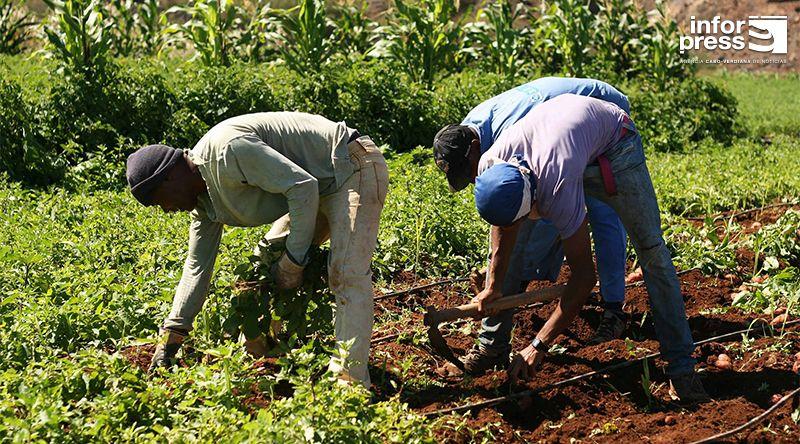 Porto Novo: Líder da aliança dos produtores alerta para saída de jovens do interior do município