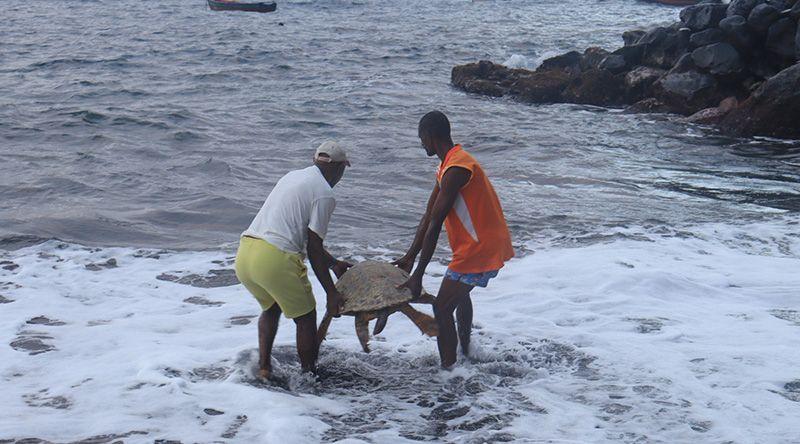 Porto Novo: Terrimar Sensibiliza para Protecção da Biodiversidade Marinha