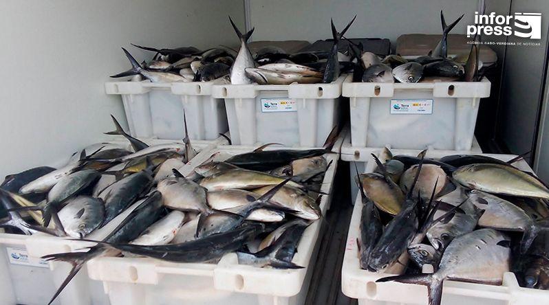 Porto Novo: Associação dos pescadores faz doação de uma tonelada de pescado a várias comunidades