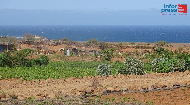 Porto Novo: Jovens Agricultores Enfrentam Crise de Água e Pragas