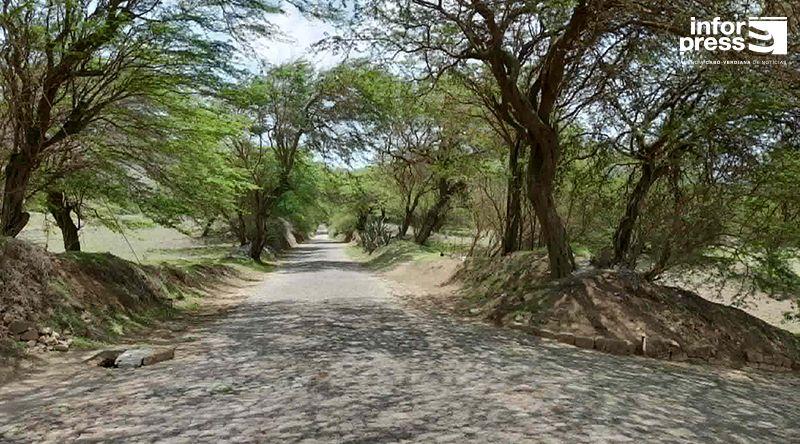 Brava: Condutores e moradores pedem intervenção urgente na estrada de acesso a Cachaço