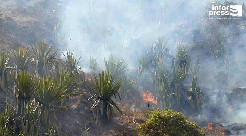 Santa Catarina apoia vítimas de incêndio com financiamento do FNE