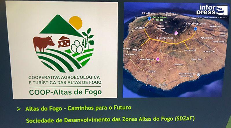 Fogo: Cooperativa propõe desenvolvimento sustentável e valorização da produção nas zonas altas