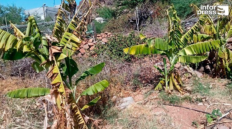 São Nicolau: Situação da água no perímetro agrícola de algodoeiro é bastante preocupante – agricultores (c/áudio)
