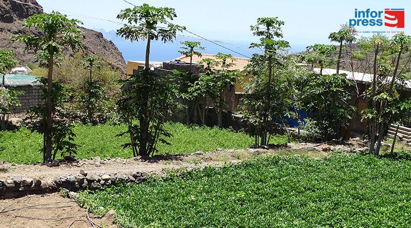 Santo Antão entre as ilhas contempladas pelo Programa Pró-Água promovido pelo MADRP