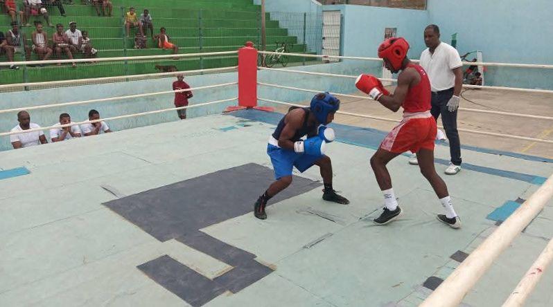 São Vicente: Mais de 30 Atletas em Torneio de Boxe pelo Dia do Mindelo