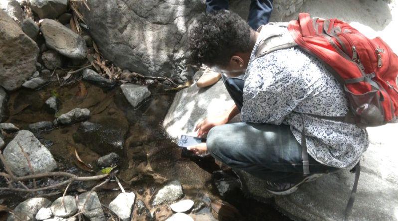 São Miguel: Casos de Esquistossomose Ultrapassam Centena e Cientista Pede Reforço