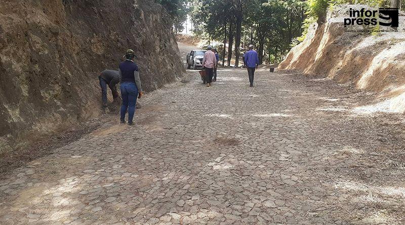 Ministério do Ambiente Prepara Floresta de Santo Antão para Chuvas