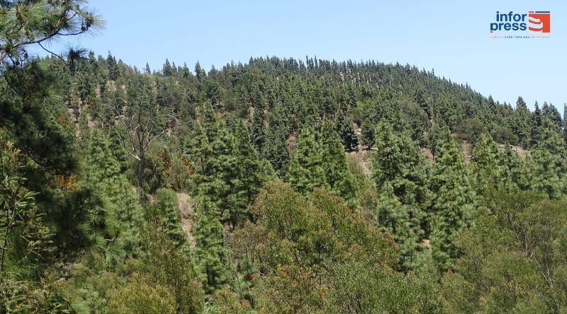 Santo Antão recebe projecto sobre conservação da biodiversidade e valorizando as paisagens agrícolas